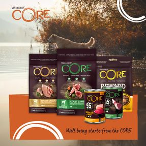 Wellness CORE