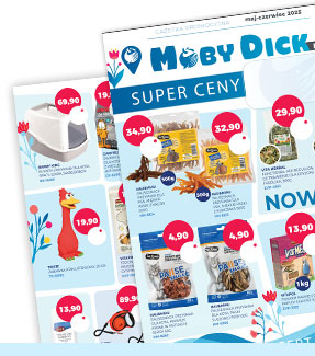 MobyDickNews_V-VI_2025